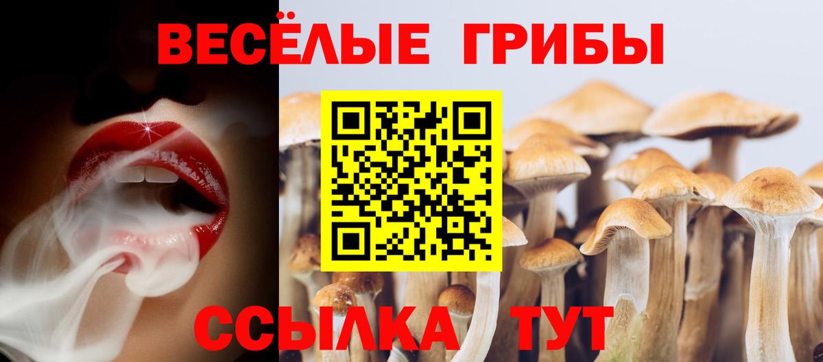 Галлюциногенные грибы ЛСД  где продают наркотики  Шарыпово  Вход с VPN  Галлюциногенные грибы Psilocybine cubensis 